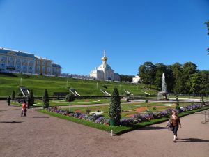 St Petersburg- Peterhof 2015 - 123