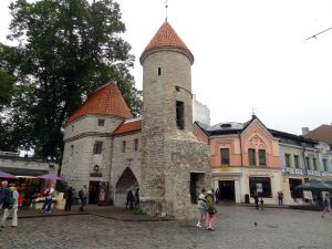 Tallinn - 2015 - 137