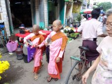 Nuns in Yangon